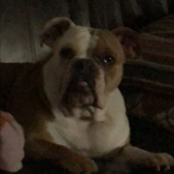 Meet your Posher, Darryl - Picture 2 of 3